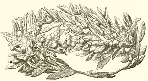 Olivenkrans i guld af English School