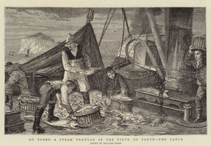 An Bord eines Dampfschleppers im Firth of Forth, der Fang von English School