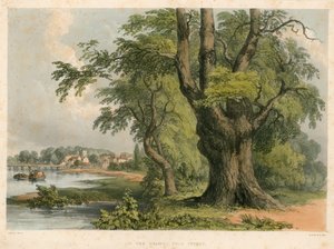 Ved Themsen, nær Putney, London af English School