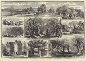 Åbning af Epping Forest by the Queen, Views in the Forest (gravering) af English School