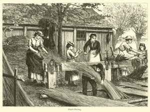 Osier-Peeling af English School