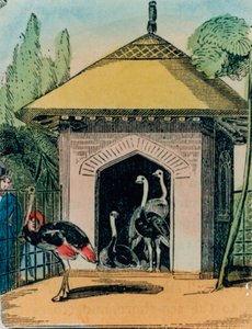 Strudse- og emuhus i Londons zoologiske have. 1840