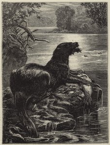 Odderjagt i nord af English School