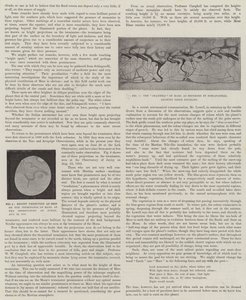 Vores nære nabo, Mars (litho) af English School