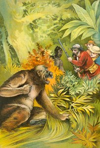 Vores første gorilla af English School