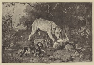 Outlaws (gravering) af English School