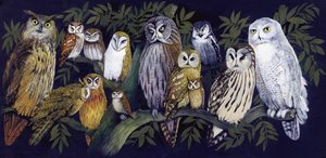 Ugler af English School