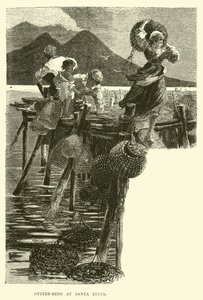 Austernbänke bei Santa Lucia