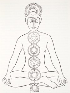 Padmasana eller lotusstilling af English School