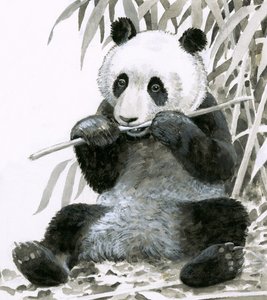 Panda kaut Bambus
