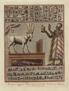En del af et egyptisk manuskript fundet i en mumies svøb af English School