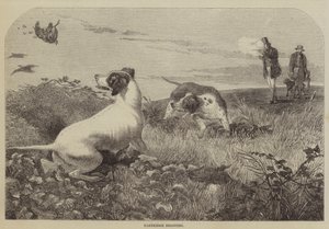 Agerhøneskydning (gravering) af English School