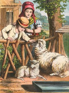 At klappe et får af English School