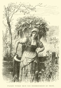 Peasant woman from the neighbourhood of Trent  af English School