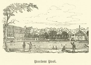 Peerless Pool (gravering) af English School