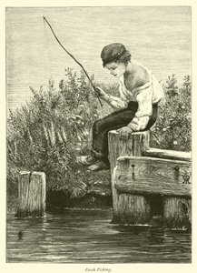 Aborre fiskeri af English School