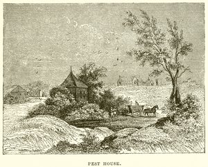 Pest House