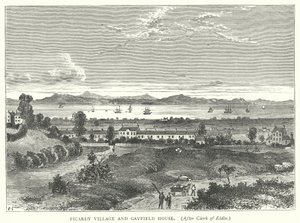 Picardy Village og Gayfield House (gravering) af English School