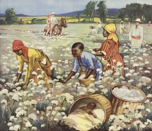 Plukker bomuld på en amerikansk plantage (farve litho) af English School