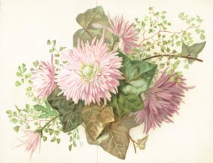 Lyserøde blomster (Dahlia), kort af English School