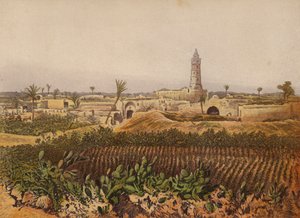 Places mentioned in the Bible: Gaza, The Old Towndani af English School