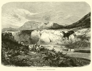 Platani nær Montallegro af English School