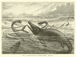 Plesiosaurus og Ichthyosaurus af English School