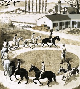 Ponyer træner af English School