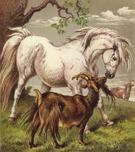 Pony og geder (farve litho) af English School