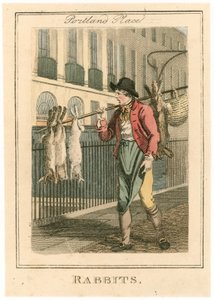 Portland Place. Kaninchen