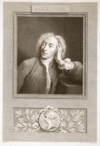 Portræt af Alexander Pope, illustration fra David Humes The History of England, pub. af R. Bowyer, London, 1812 af English School
