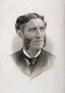Portræt af Matthew Arnold (1822-88), af English School