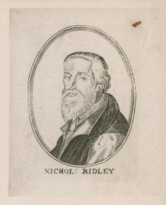 Portræt af Nicholas Ridley af English School