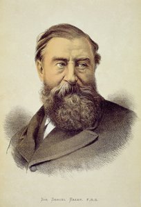 Portræt af Sir Samuel Baker (1821-93)