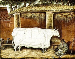 Primitiv okse af English School