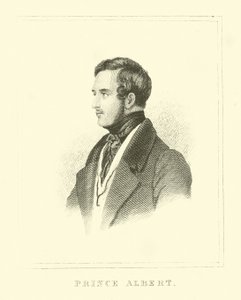 Prins Albert af English School