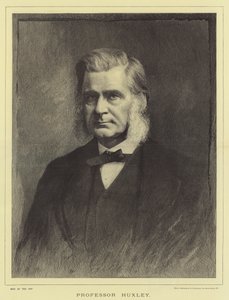 Professor Huxley (gravering) af English School