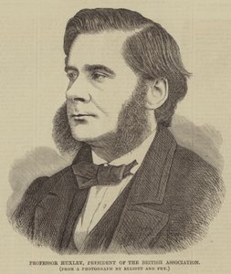 Professor Huxley, formand for British Association (gravering) af English School