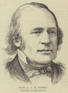Professor L J R Agassiz (gravering) af English School
