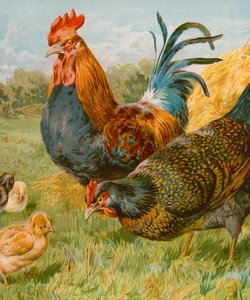 Stolte forældre af English School