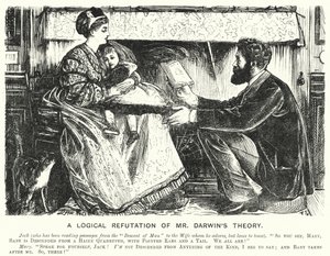 Punch tegneserie: A Logical Refutation of Mr Darwin
