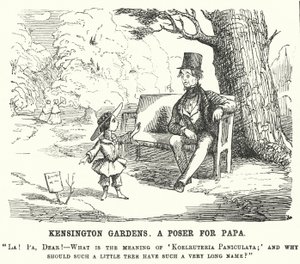 Punch tegneserie: barn stiller sin far et spørgsmål i Kensington Gardens, London (gravering) af English School