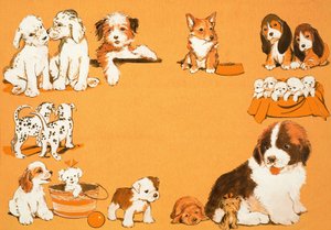 Hvalpe hunde af English School