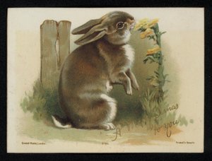 Kanin spiser gule blomster, julehilsenskort. (chromolitho) af English School