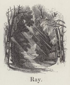 Ray (gravering) af English School