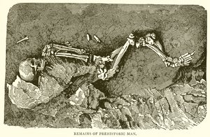 Rester af det forhistoriske menneske af English School