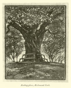 Resting-place, Richmond Park  af English School