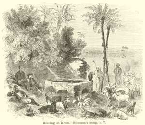 Hvile ved middagstid, Solomons sang, i, 7 af English School
