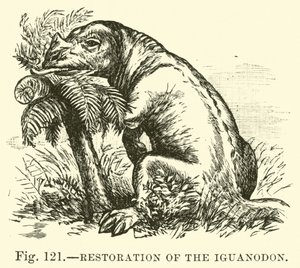 Restoration of the Iguanodon  af English School