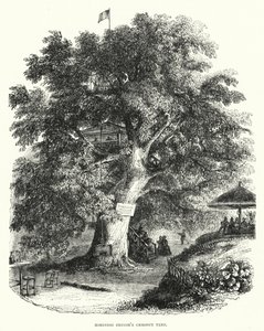 Robinson Crusoes kastanjetræ (gravering) af English School